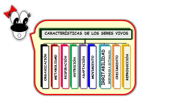 CARACTER&Iacute;STICAS DE LOS SERES VIVOS